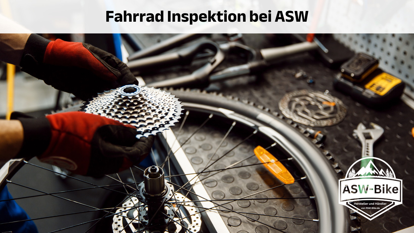 Start fahrrad inspektion