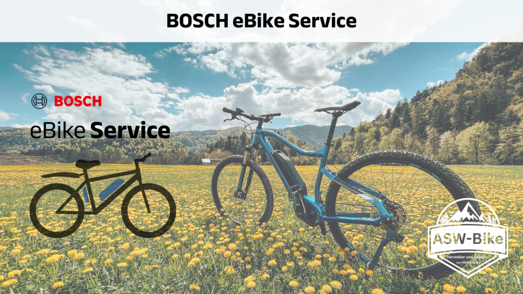 bosch ebike service (1)
