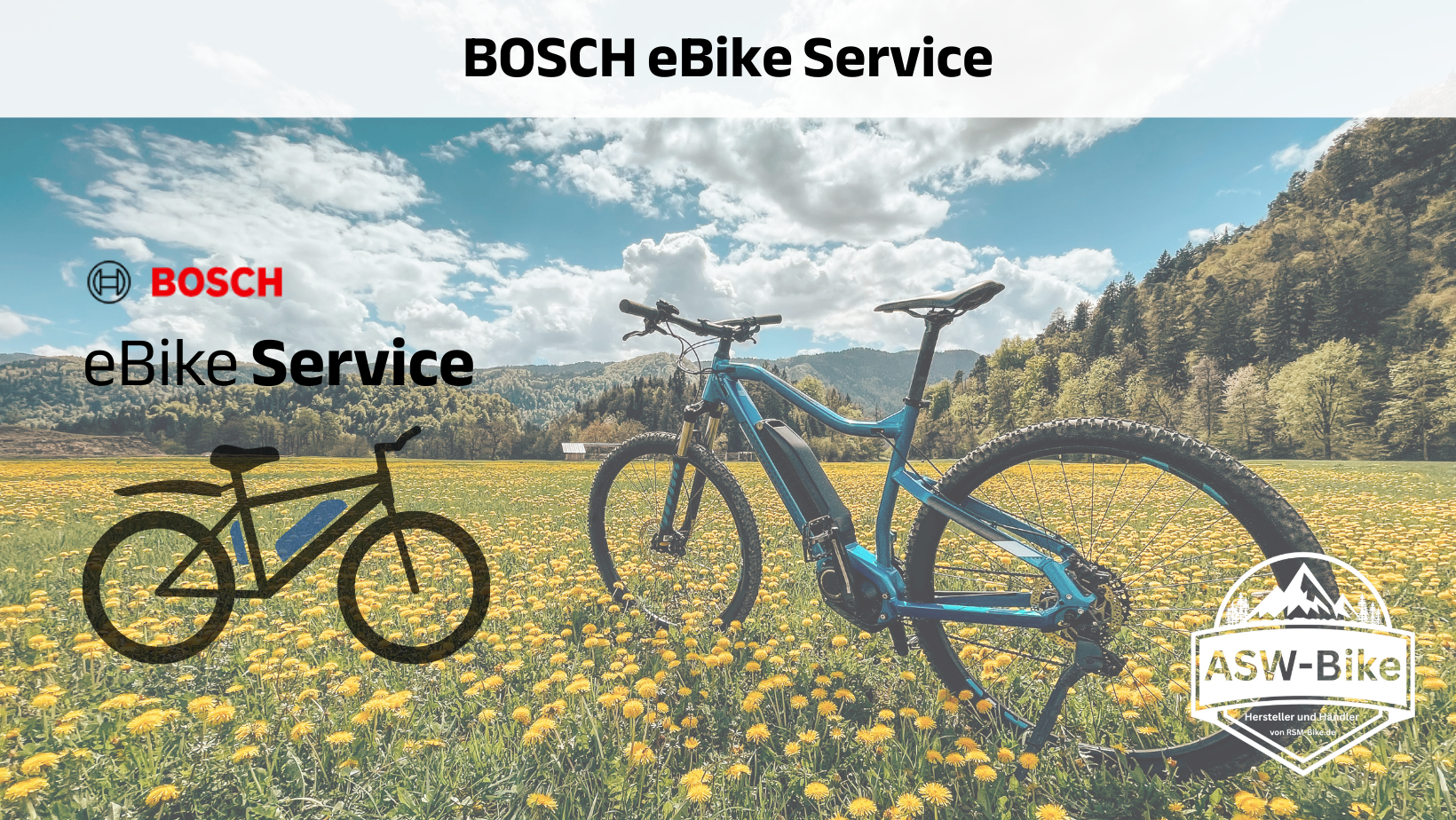 Start bosch ebike service (1)